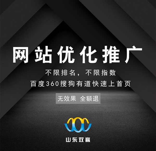 专业建站