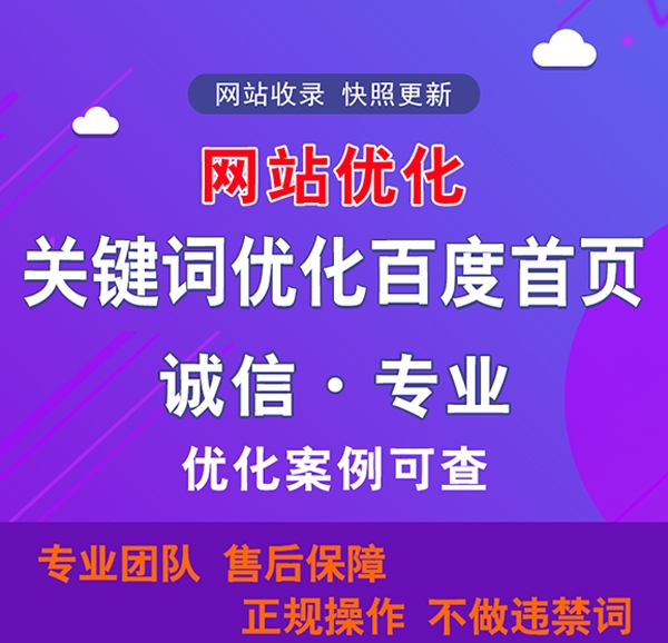 专业网站推广
